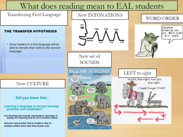 What does reading mean to EAL students? Inspiring Master Teachers